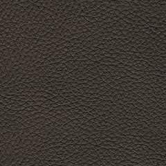 Belziani Sofa Sleeper