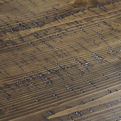 Kavara Counter Height Bar Stool