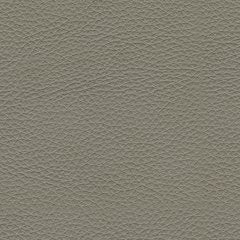 Dunleith Power Recliner